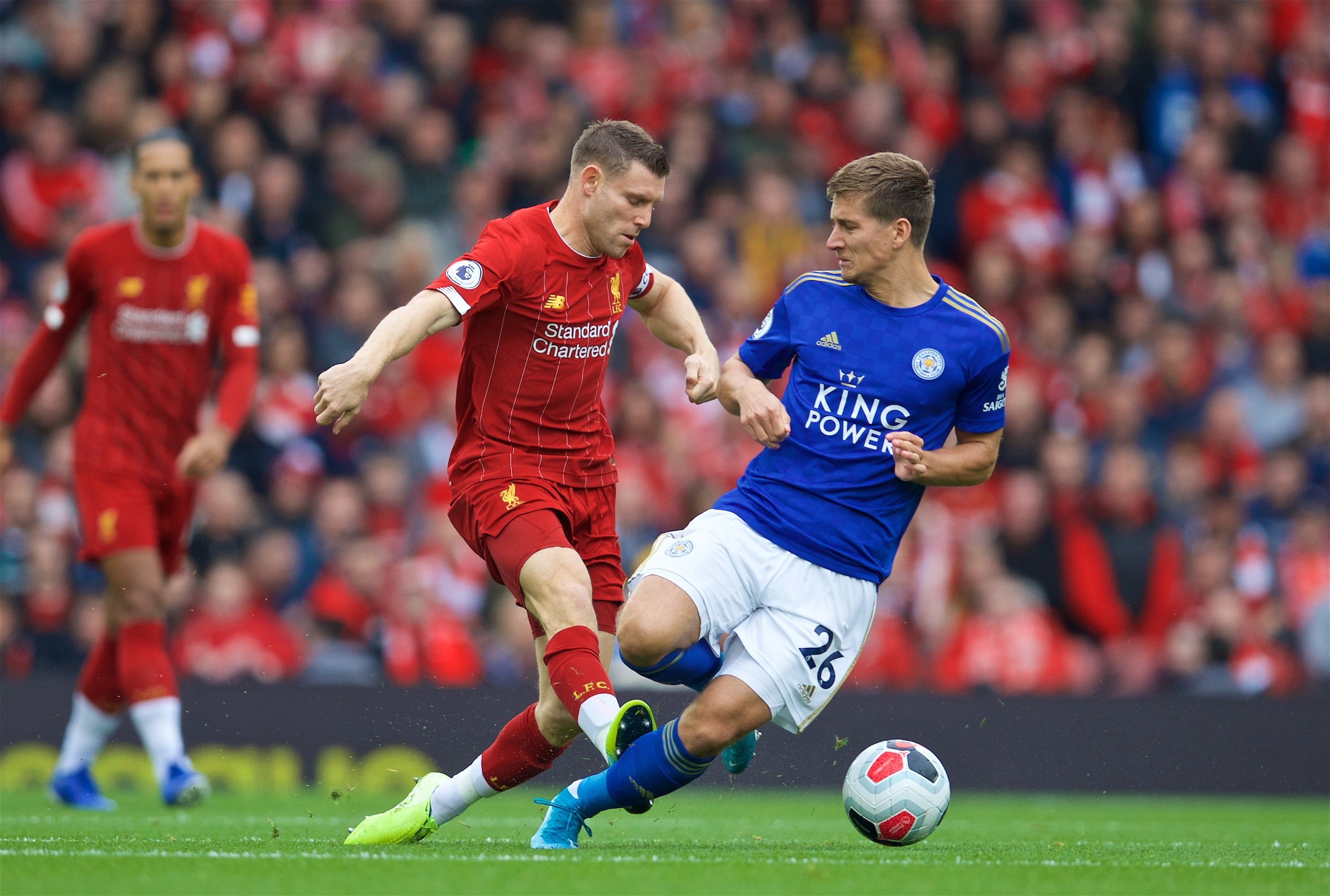 或許是整條 或許是整條